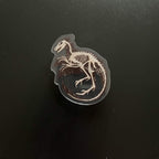 Macabre Fossil - Acrylic Pin