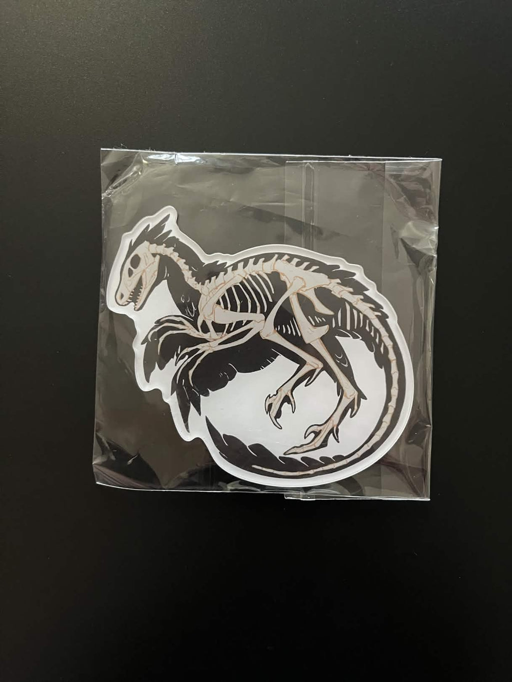 Macabre Fossil - Acrylic Magnet