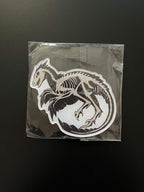 Macabre Fossil - Acrylic Magnet