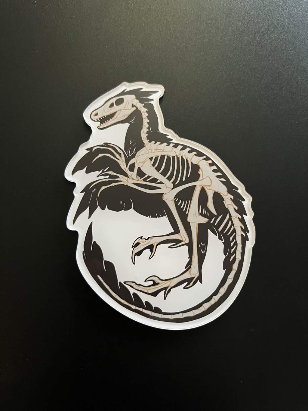 Macabre Fossil - Acrylic Magnet