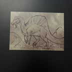 Natural Macabre - Postcards