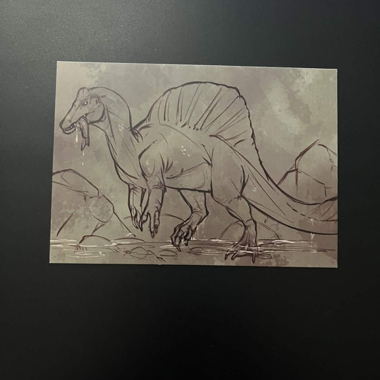 Natural Macabre - Postcards