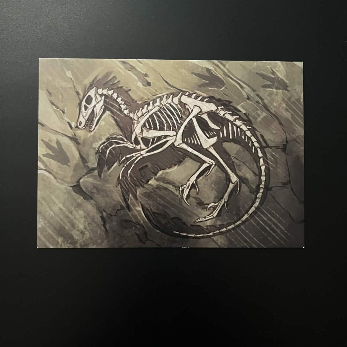 Natural Macabre - Postcards