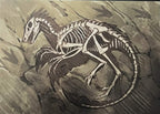 Natural Macabre - Postcards