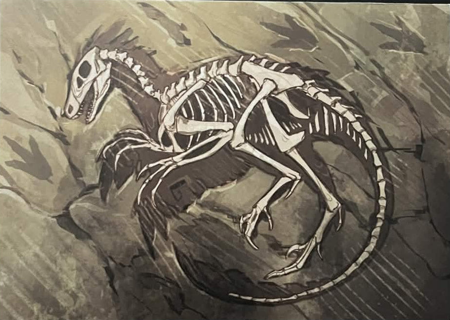 Natural Macabre - Postcards