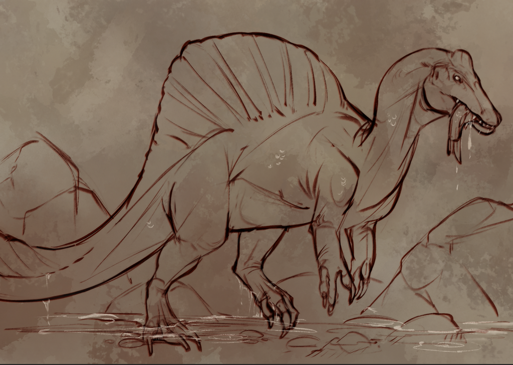 Natural Macabre - Postcards